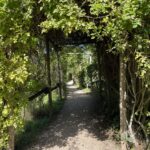 Our day in Aix-Les-Bains