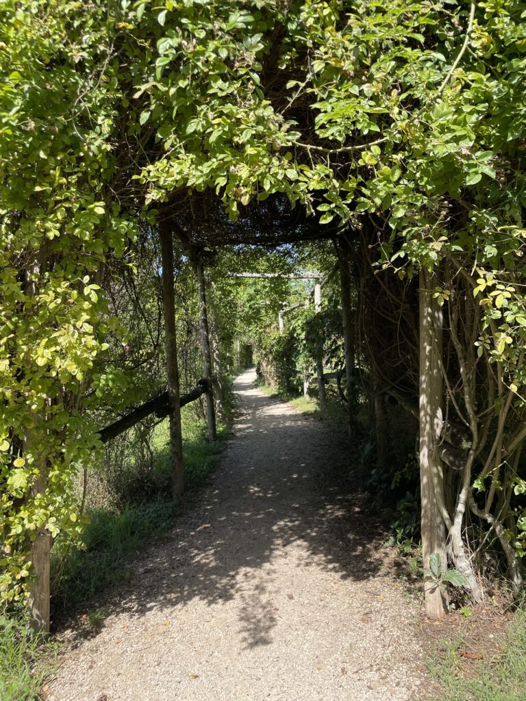 Our day in Aix-Les-Bains