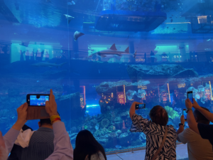 Dubai Aquarium