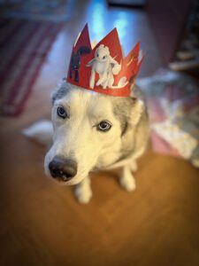 A dog wearing a colorful paper crown sits on the floor, looking directly at the camera. The background features a cozy interior with a patterned rug.
