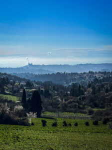 A panoramic view of a lush green landscape with rolling hills under a clear blue sky, showcasing distant mountains and a town in the background.