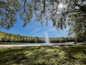 A serene park scene featuring a fountain spraying water into a calm lake, surrounded by lush greenery and trees under a clear blue sky. People can be seen enjoying the space in the background.
