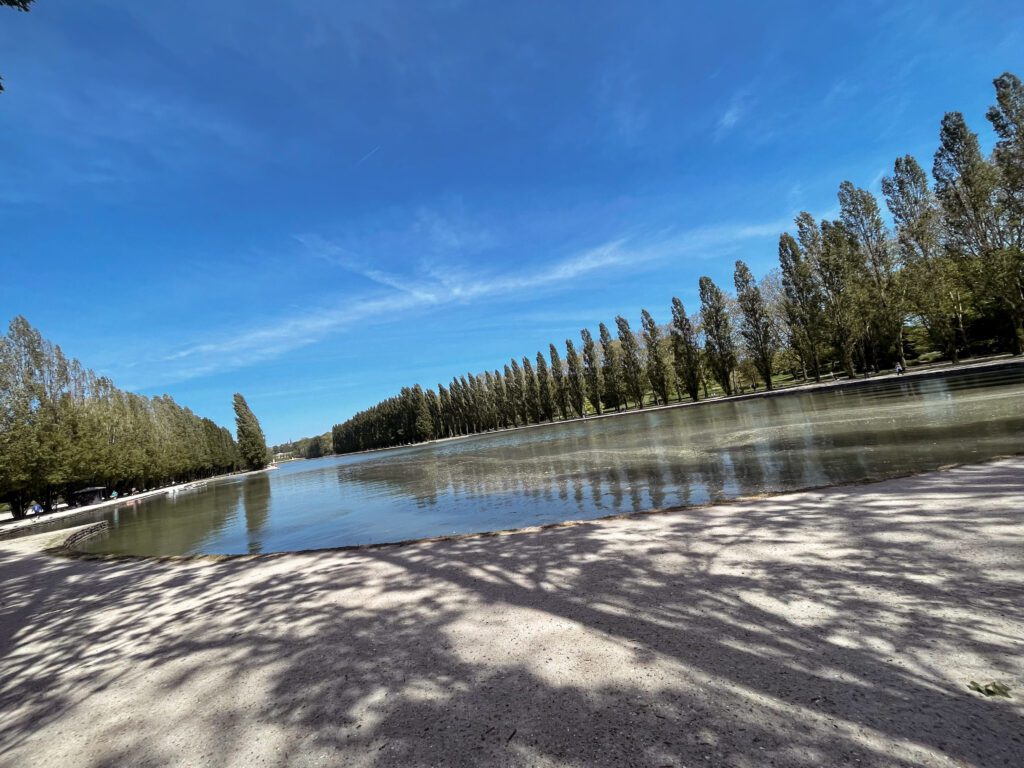 A serene view of a calm lake surrounded by tall trees under a clear blue sky. The sunlight casts shadows on the sandy shore.